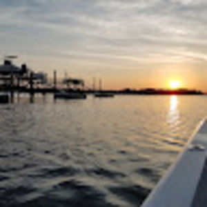 Meet your Posher, Billy